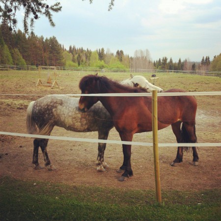 Dottla och Helgi, vänskap är viktigt!